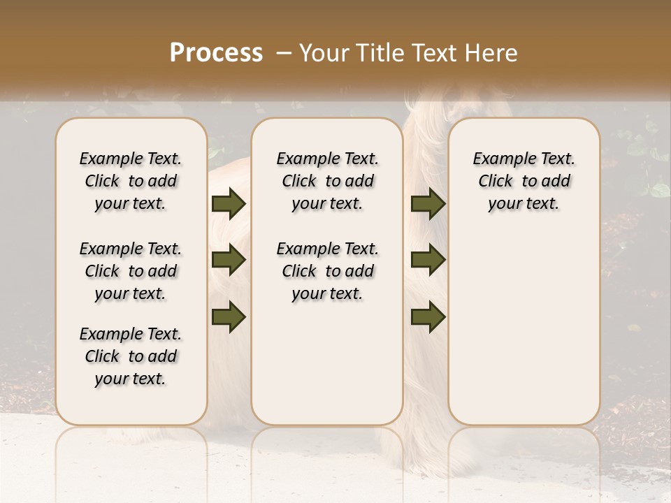 A Shaggy Dog Standing In Front Of A Bush PowerPoint Template