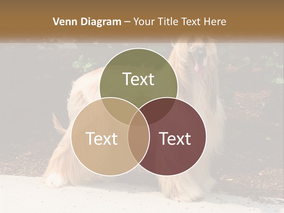 A Shaggy Dog Standing In Front Of A Bush PowerPoint Template