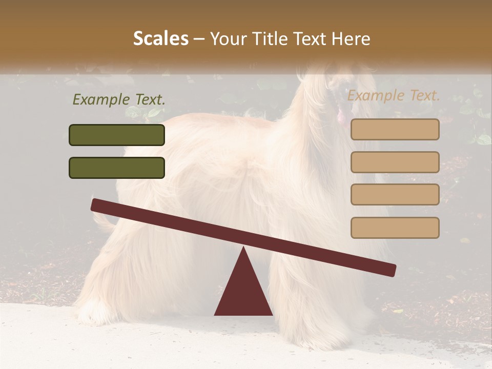 A Shaggy Dog Standing In Front Of A Bush PowerPoint Template