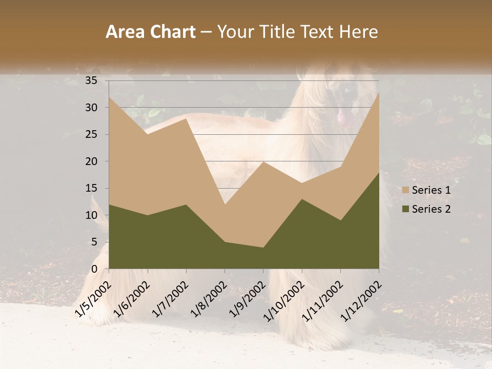 A Shaggy Dog Standing In Front Of A Bush PowerPoint Template