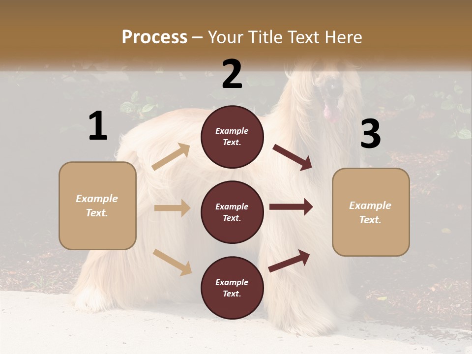 A Shaggy Dog Standing In Front Of A Bush PowerPoint Template