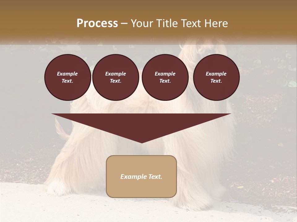 A Shaggy Dog Standing In Front Of A Bush PowerPoint Template