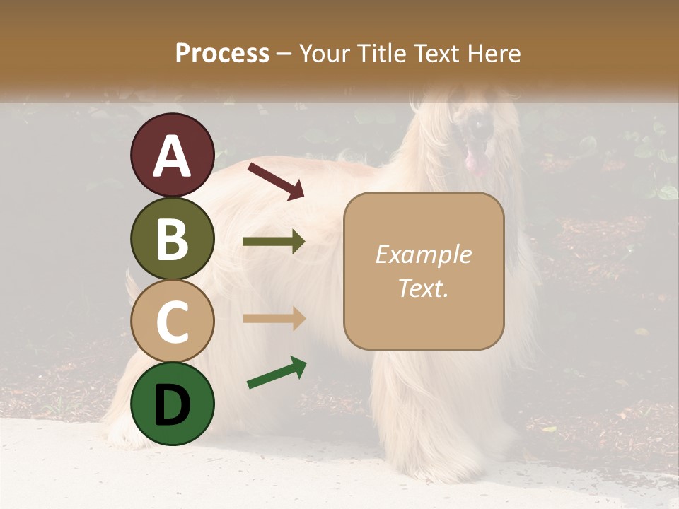 A Shaggy Dog Standing In Front Of A Bush PowerPoint Template