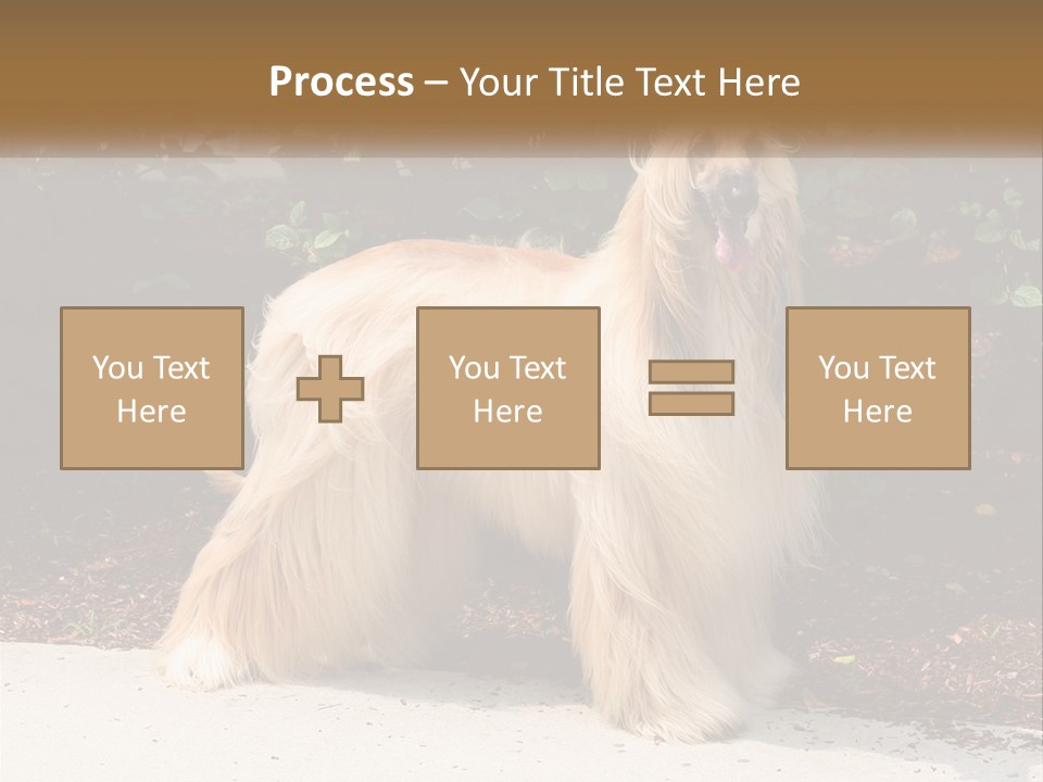 A Shaggy Dog Standing In Front Of A Bush PowerPoint Template