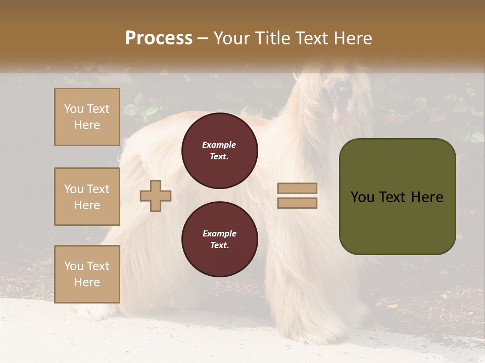 A Shaggy Dog Standing In Front Of A Bush PowerPoint Template