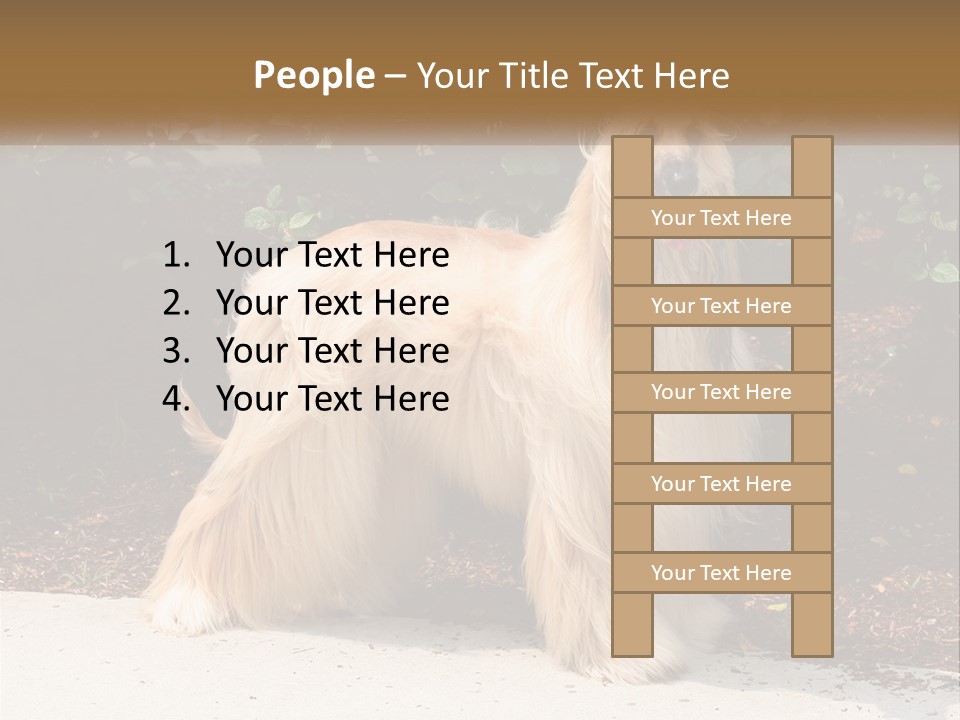 A Shaggy Dog Standing In Front Of A Bush PowerPoint Template