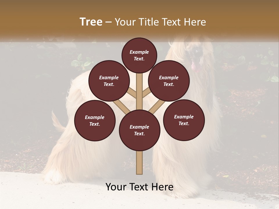 A Shaggy Dog Standing In Front Of A Bush PowerPoint Template