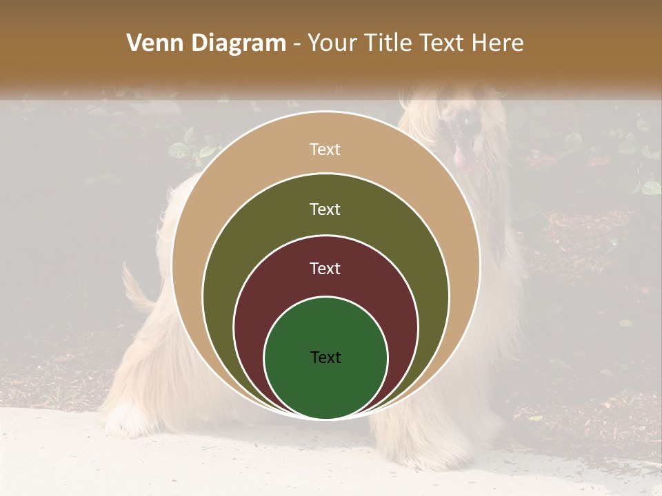 A Shaggy Dog Standing In Front Of A Bush PowerPoint Template