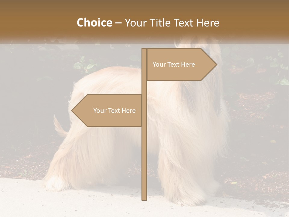 A Shaggy Dog Standing In Front Of A Bush PowerPoint Template