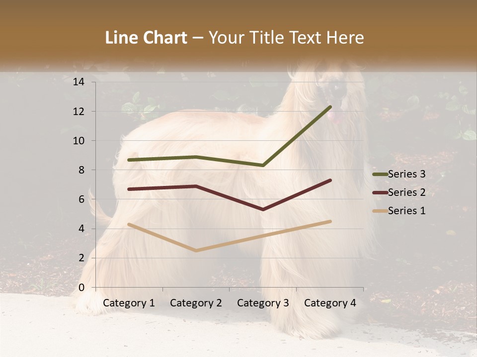 A Shaggy Dog Standing In Front Of A Bush PowerPoint Template