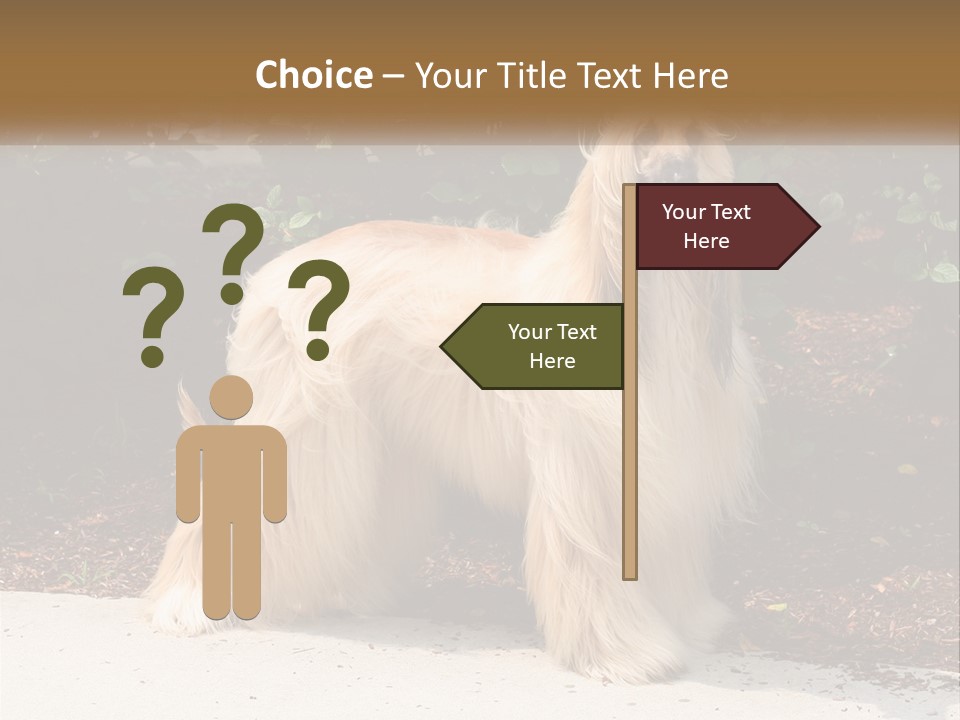 A Shaggy Dog Standing In Front Of A Bush PowerPoint Template