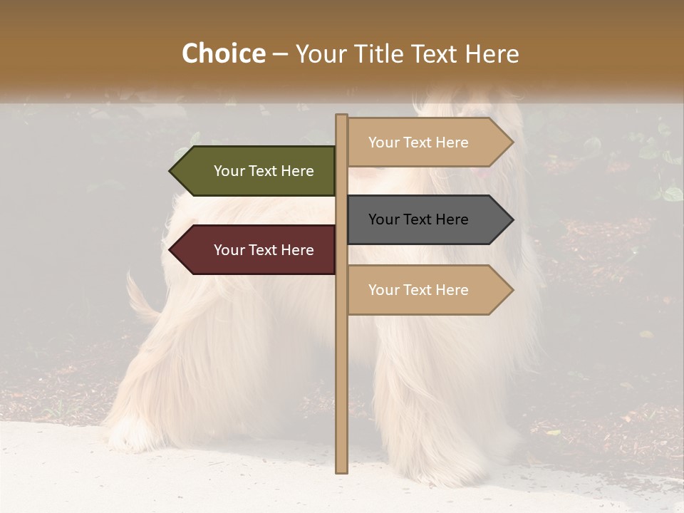 A Shaggy Dog Standing In Front Of A Bush PowerPoint Template