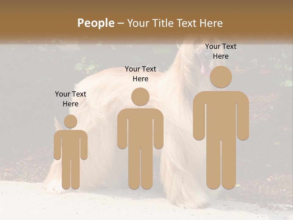 A Shaggy Dog Standing In Front Of A Bush PowerPoint Template