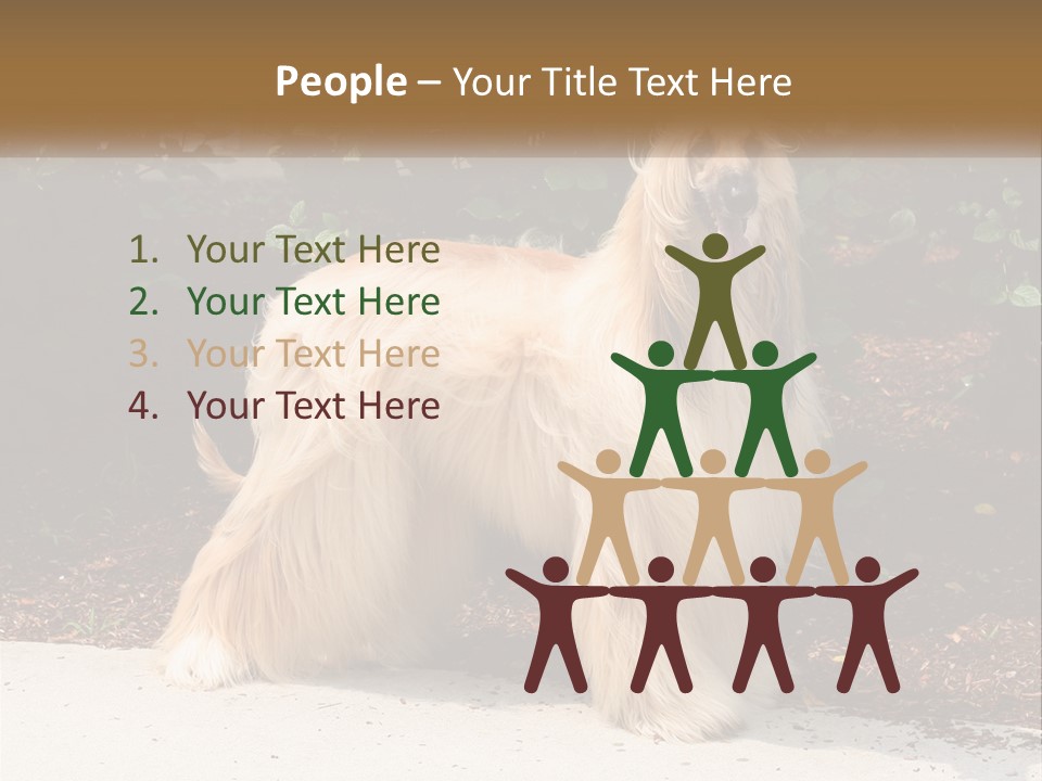 A Shaggy Dog Standing In Front Of A Bush PowerPoint Template