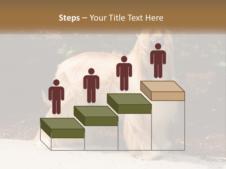 A Shaggy Dog Standing In Front Of A Bush PowerPoint Template