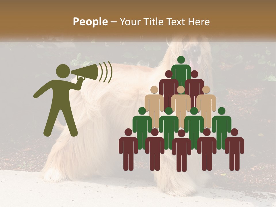 A Shaggy Dog Standing In Front Of A Bush PowerPoint Template