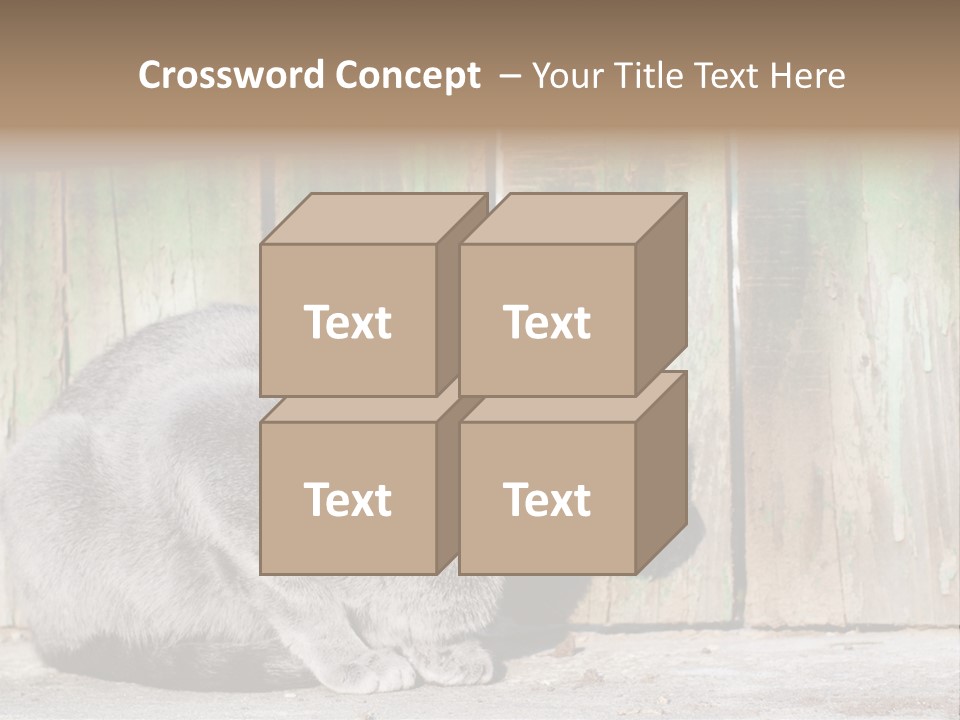 A Gray Cat Is Standing In Front Of A Wooden Fence PowerPoint Template