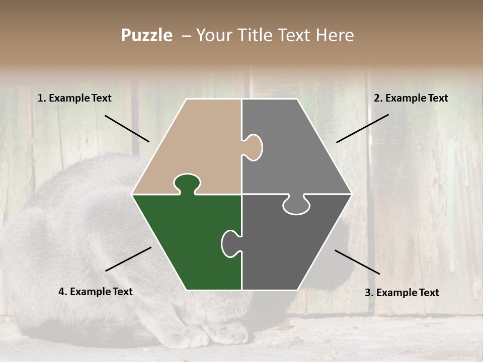 A Gray Cat Is Standing In Front Of A Wooden Fence PowerPoint Template