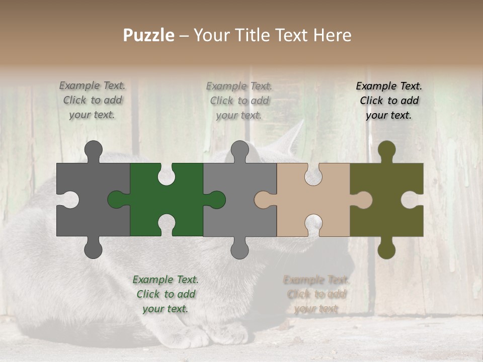A Gray Cat Is Standing In Front Of A Wooden Fence PowerPoint Template