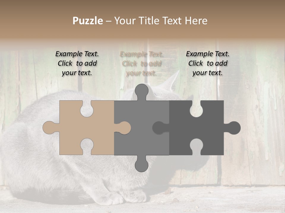 A Gray Cat Is Standing In Front Of A Wooden Fence PowerPoint Template