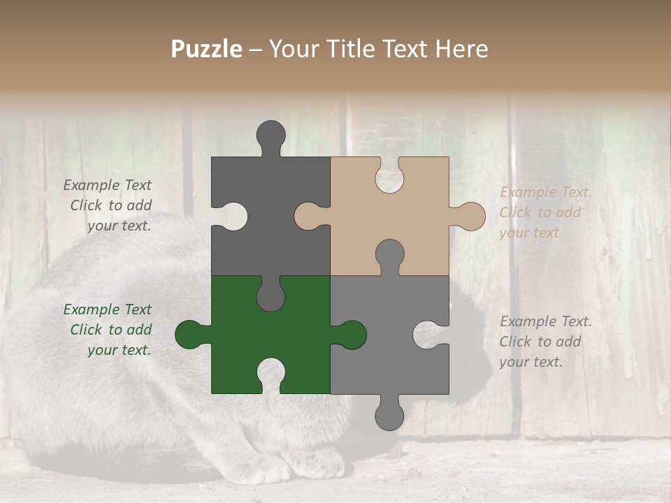 A Gray Cat Is Standing In Front Of A Wooden Fence PowerPoint Template