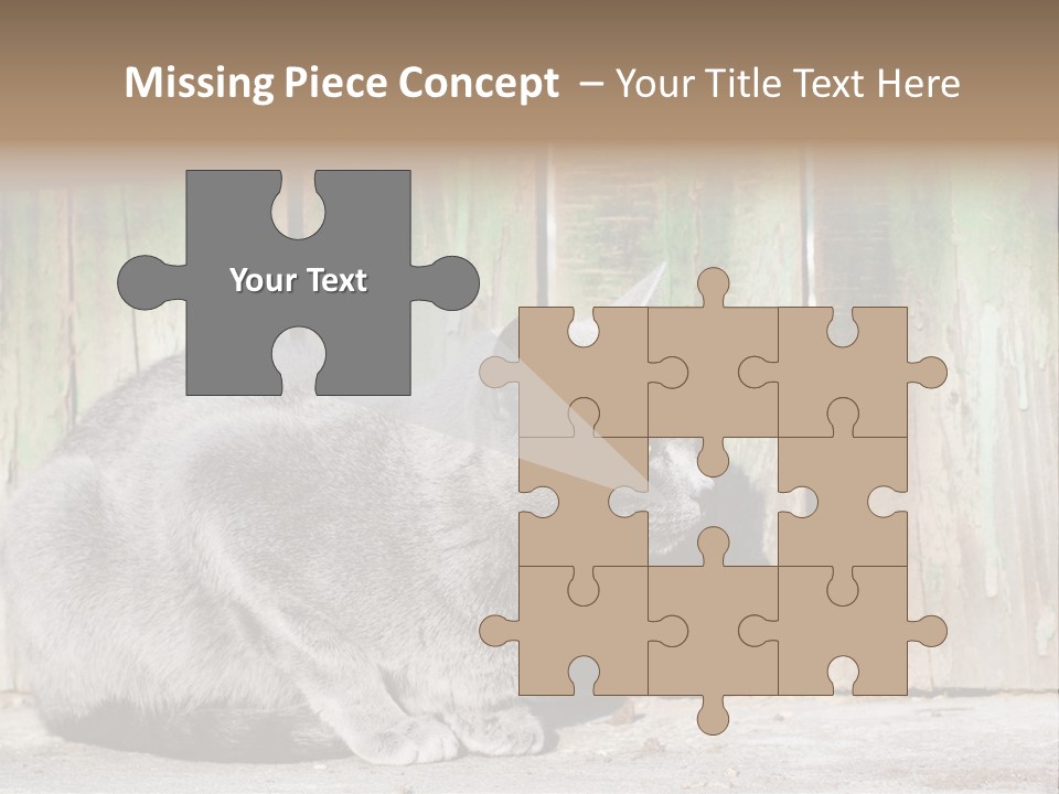 A Gray Cat Is Standing In Front Of A Wooden Fence PowerPoint Template