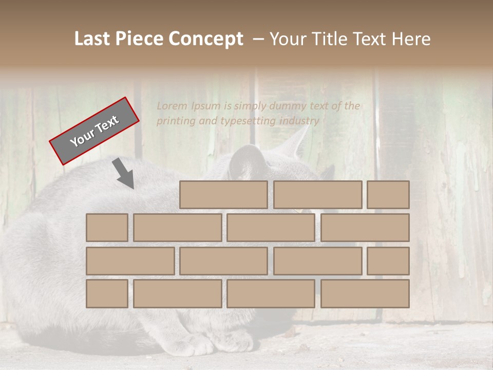 A Gray Cat Is Standing In Front Of A Wooden Fence PowerPoint Template