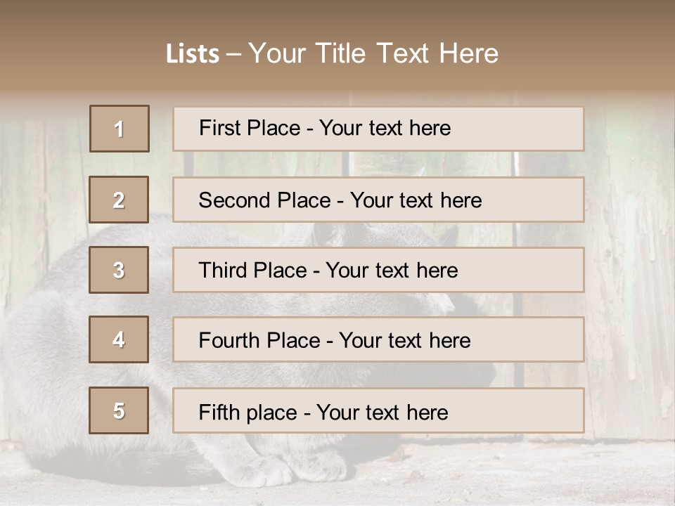 A Gray Cat Is Standing In Front Of A Wooden Fence PowerPoint Template