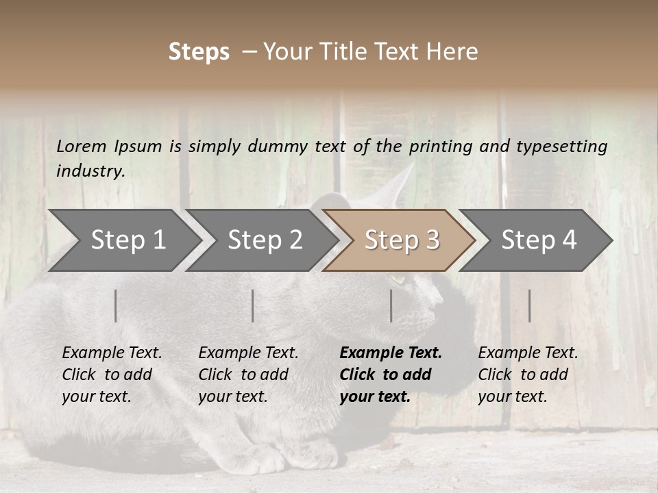 A Gray Cat Is Standing In Front Of A Wooden Fence PowerPoint Template