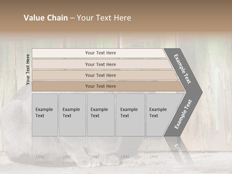 A Gray Cat Is Standing In Front Of A Wooden Fence PowerPoint Template