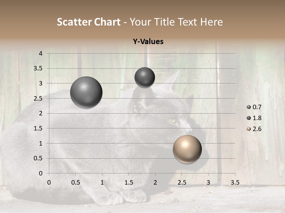 A Gray Cat Is Standing In Front Of A Wooden Fence PowerPoint Template