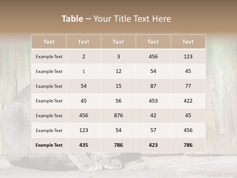 A Gray Cat Is Standing In Front Of A Wooden Fence PowerPoint Template