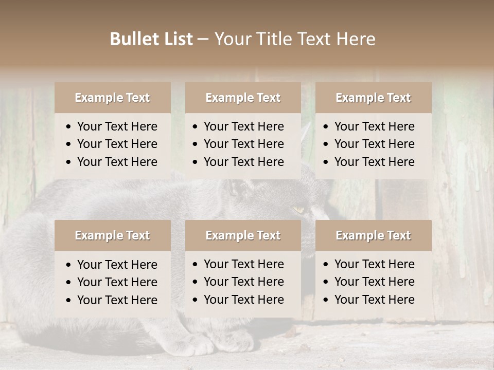 A Gray Cat Is Standing In Front Of A Wooden Fence PowerPoint Template