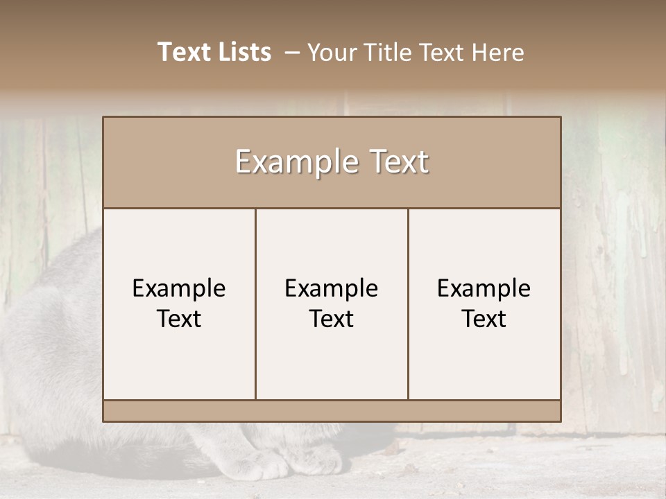 A Gray Cat Is Standing In Front Of A Wooden Fence PowerPoint Template