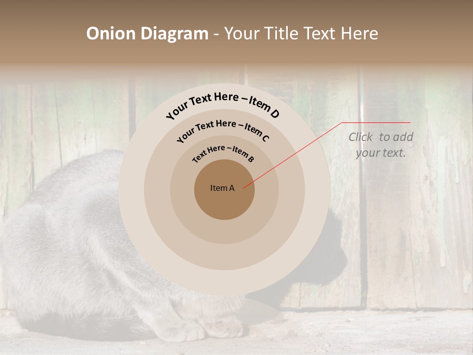 A Gray Cat Is Standing In Front Of A Wooden Fence PowerPoint Template