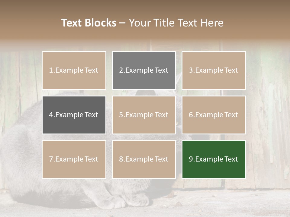 A Gray Cat Is Standing In Front Of A Wooden Fence PowerPoint Template