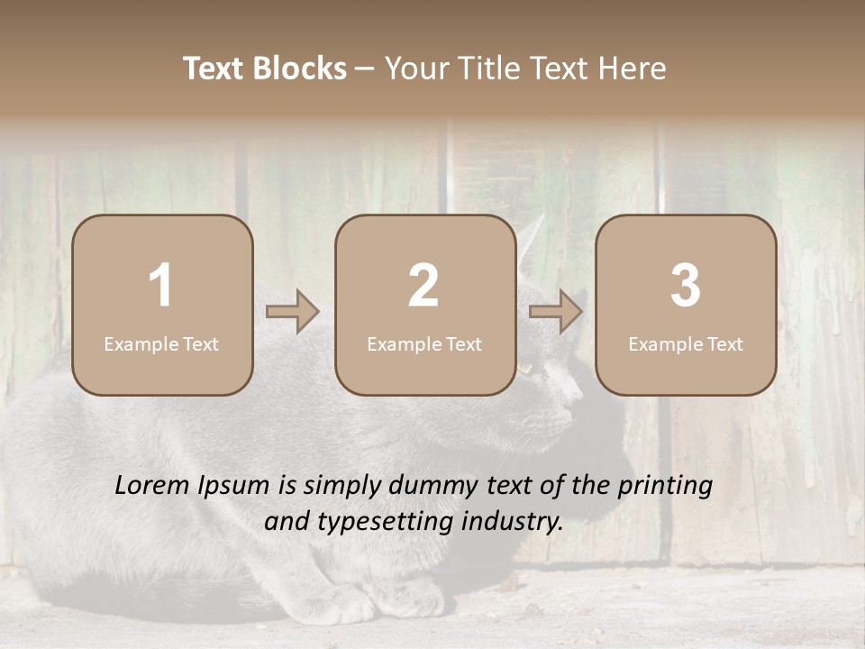 A Gray Cat Is Standing In Front Of A Wooden Fence PowerPoint Template