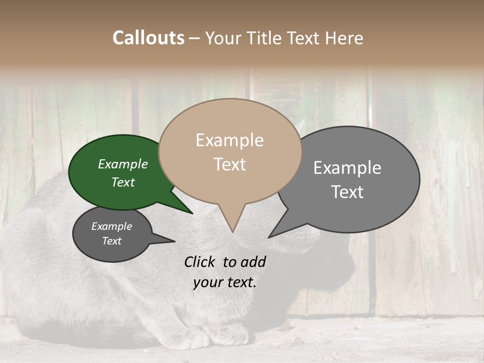 A Gray Cat Is Standing In Front Of A Wooden Fence PowerPoint Template