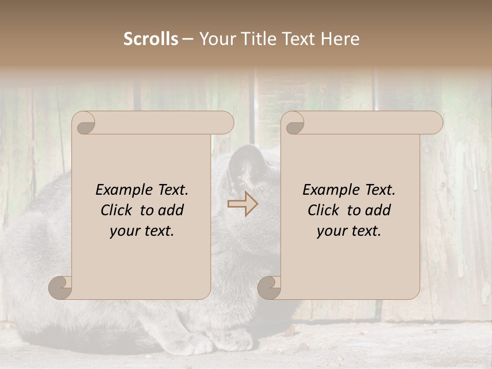 A Gray Cat Is Standing In Front Of A Wooden Fence PowerPoint Template