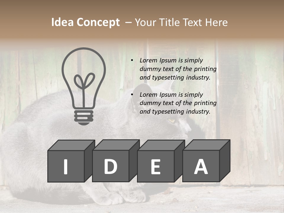 A Gray Cat Is Standing In Front Of A Wooden Fence PowerPoint Template