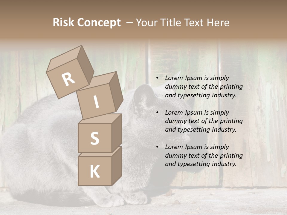 A Gray Cat Is Standing In Front Of A Wooden Fence PowerPoint Template
