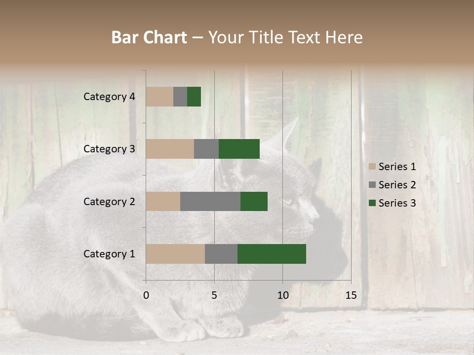 A Gray Cat Is Standing In Front Of A Wooden Fence PowerPoint Template