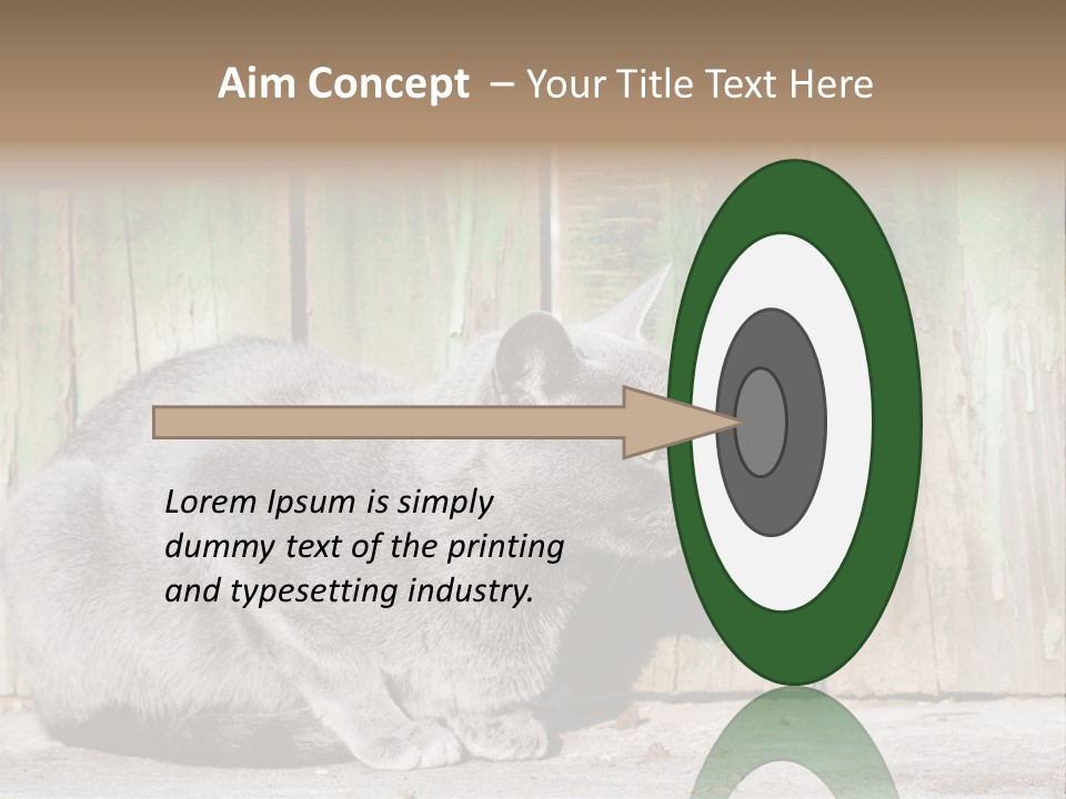 A Gray Cat Is Standing In Front Of A Wooden Fence PowerPoint Template