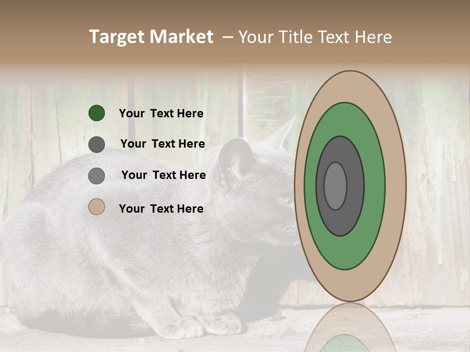 A Gray Cat Is Standing In Front Of A Wooden Fence PowerPoint Template