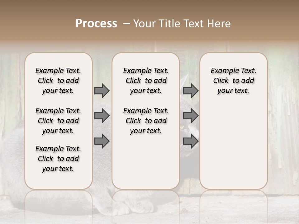 A Gray Cat Is Standing In Front Of A Wooden Fence PowerPoint Template