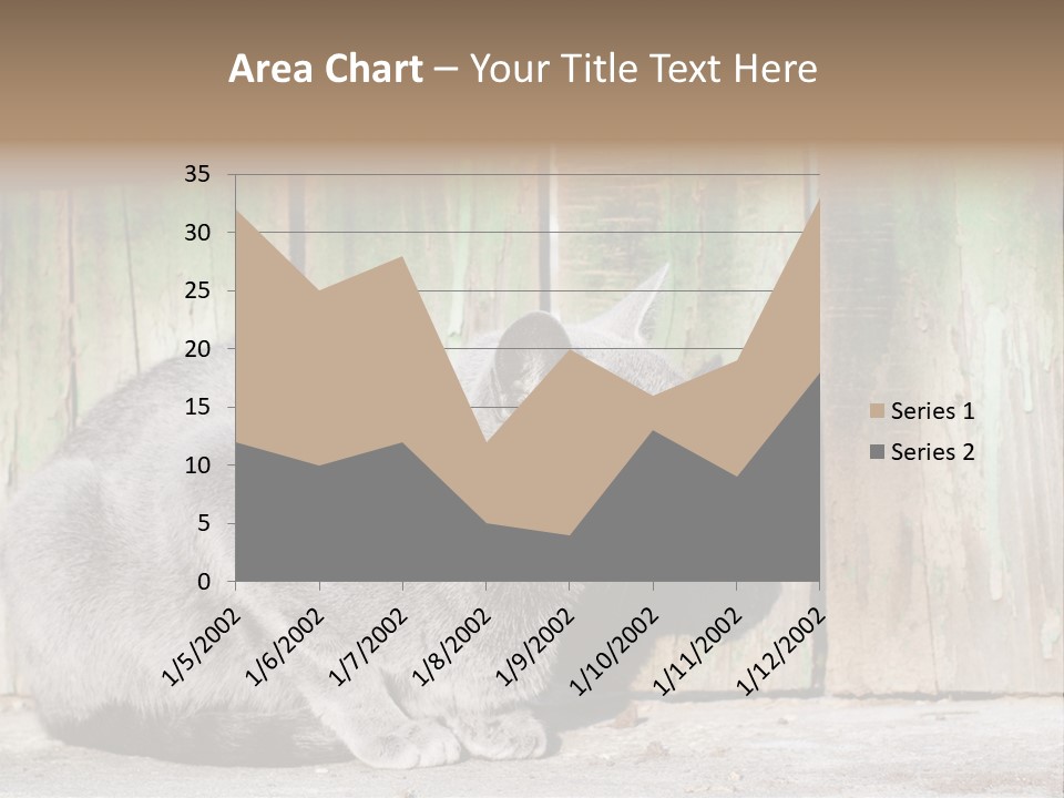 A Gray Cat Is Standing In Front Of A Wooden Fence PowerPoint Template