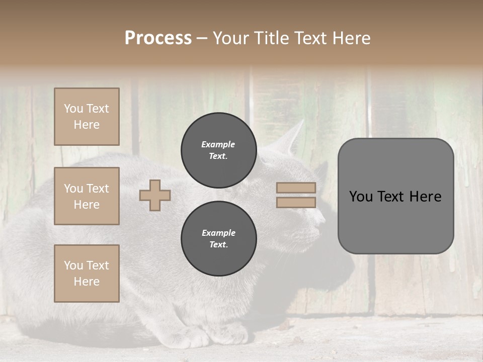 A Gray Cat Is Standing In Front Of A Wooden Fence PowerPoint Template