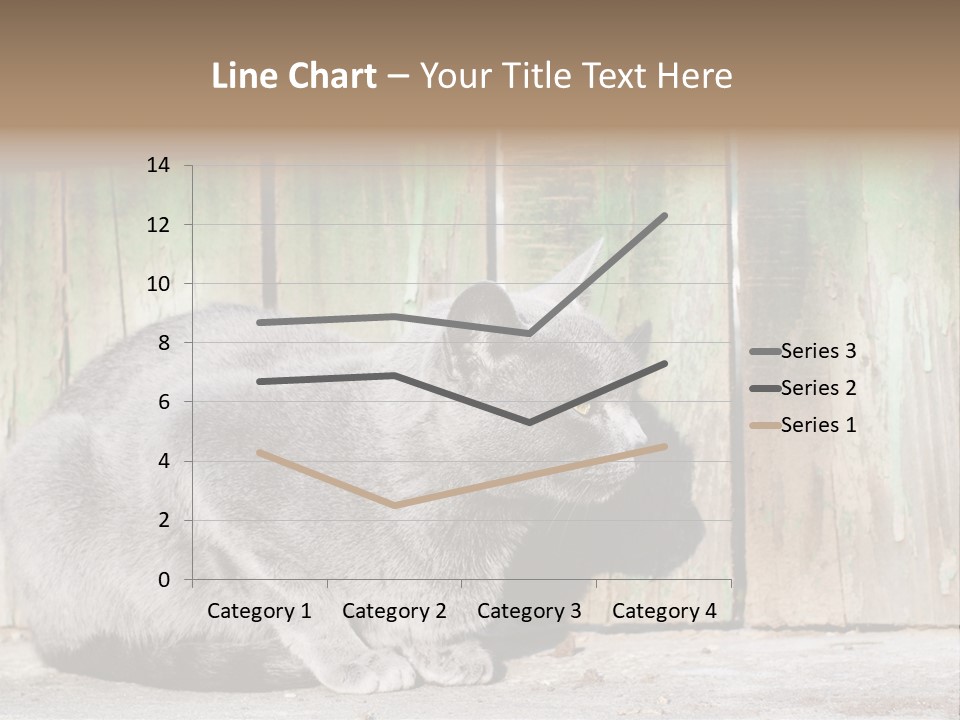 A Gray Cat Is Standing In Front Of A Wooden Fence PowerPoint Template