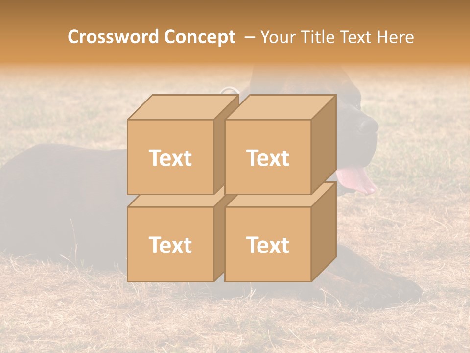 A Large Brown Dog Laying On Top Of A Dry Grass Field PowerPoint Template