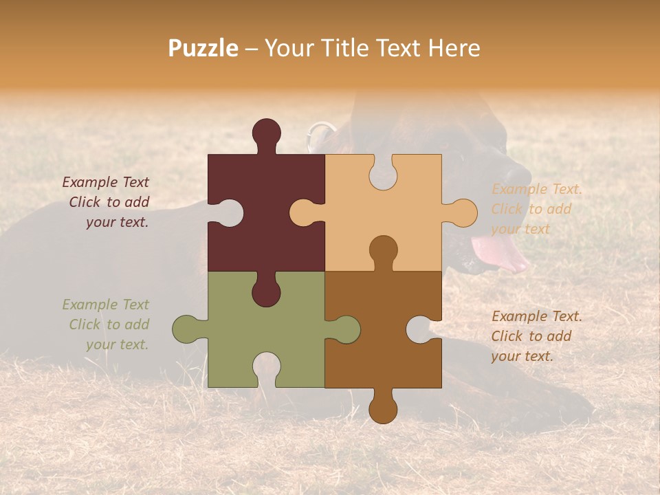 A Large Brown Dog Laying On Top Of A Dry Grass Field PowerPoint Template